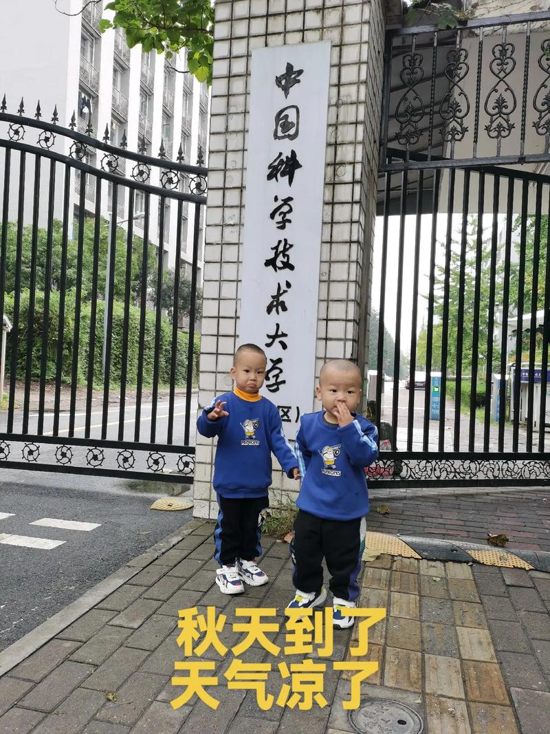 金色的00dmo10月9日秋天不知不觉已是秋平安健康度金秋天气凉了早上好